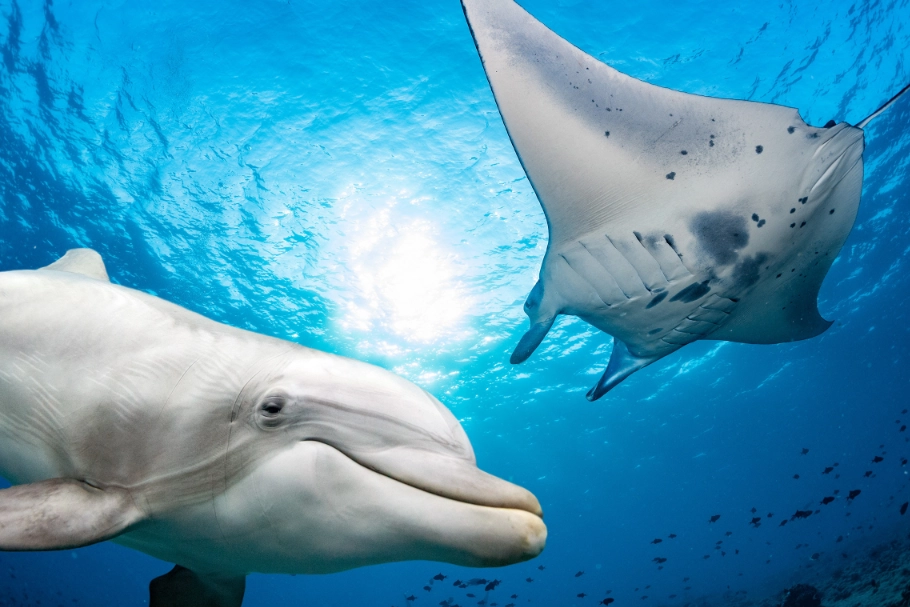 Dawesville Discovery Centre