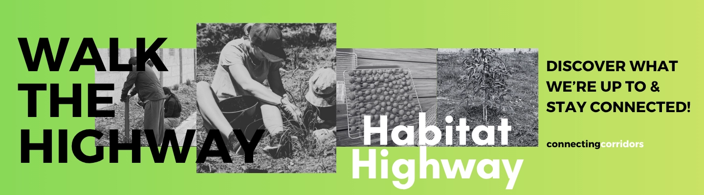 Habitat Highway