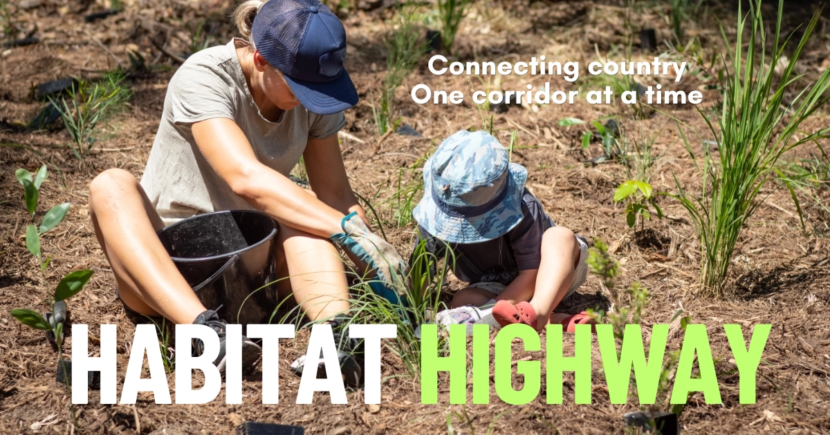 Habitat Highway