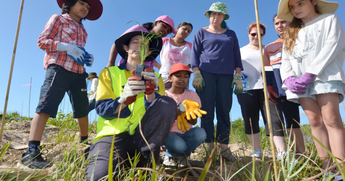 Volunteers Planting