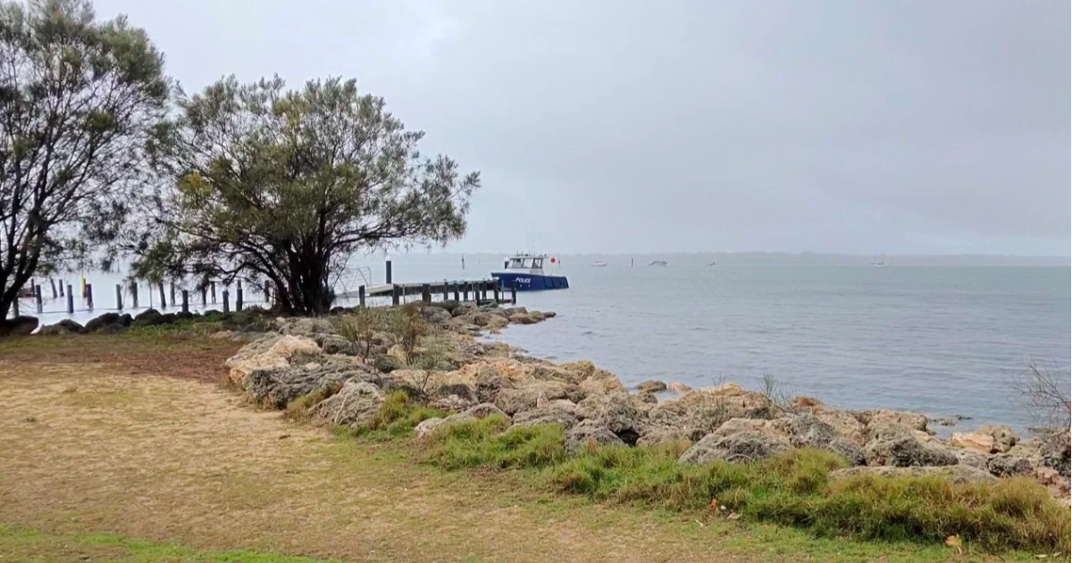 A Southern Right whale visits Dawesville
