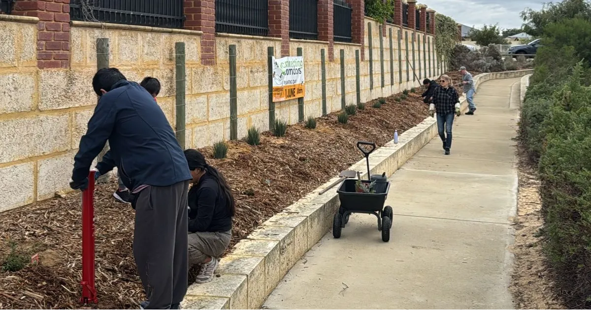 Melros Urban Park - Progress, Plans & Community Potential