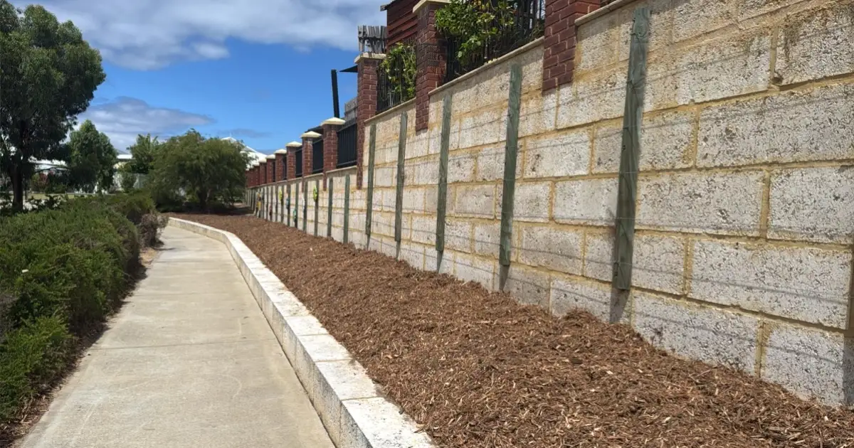 Our Park is Coming to Life!