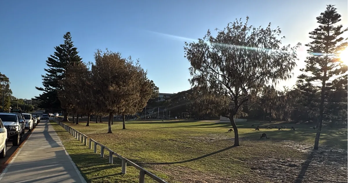 Over 3,000 Trees & Counting in Dawesville