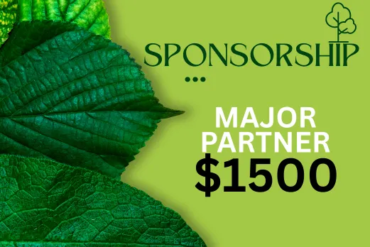 Major Partner