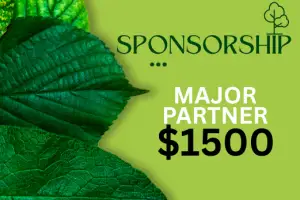 Major Partner