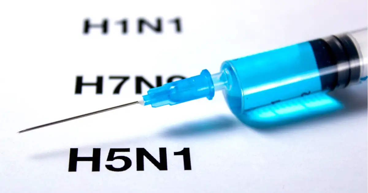 New Global H5N1 Strain & what it Means for Australian Wildlife